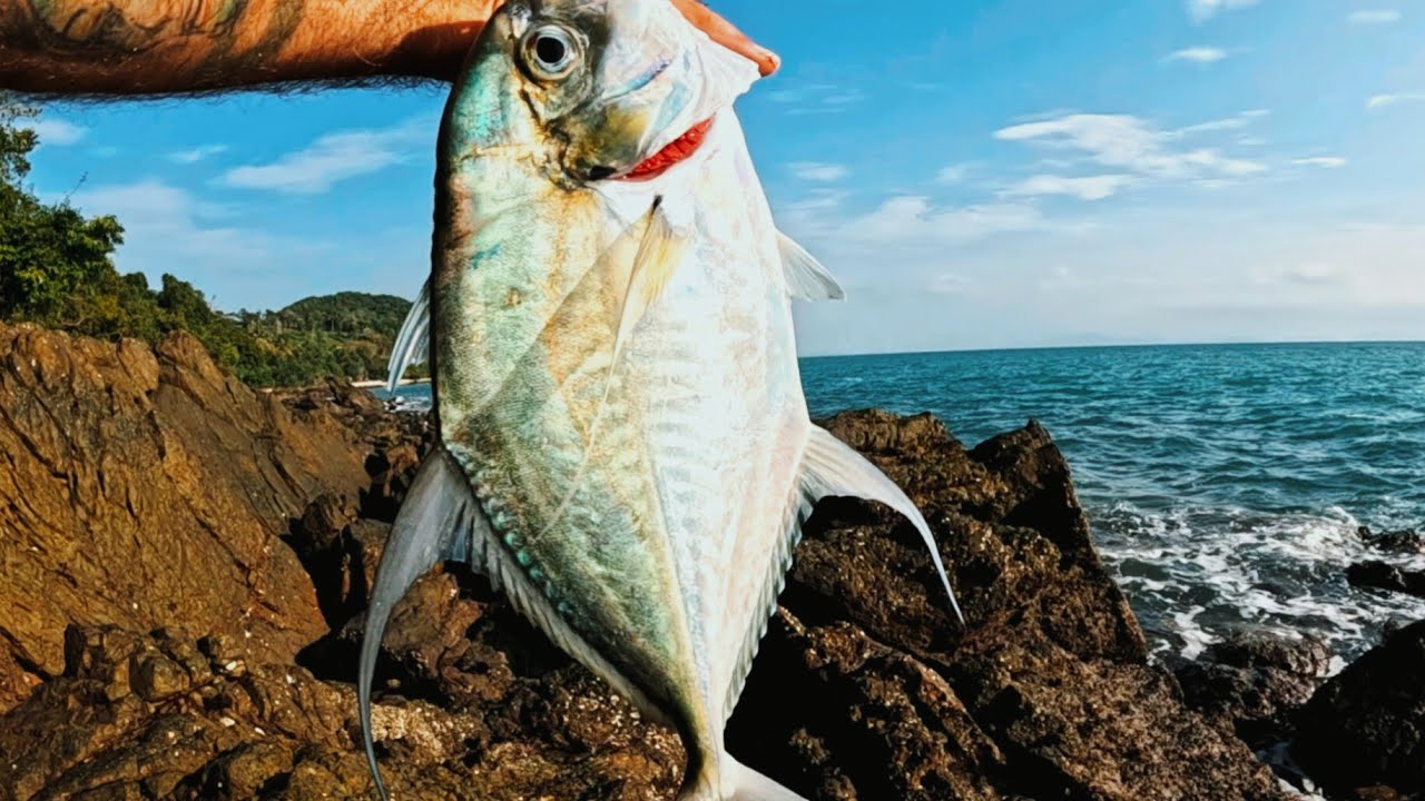 Ultralight Fishing a remote island in southeast Asia 