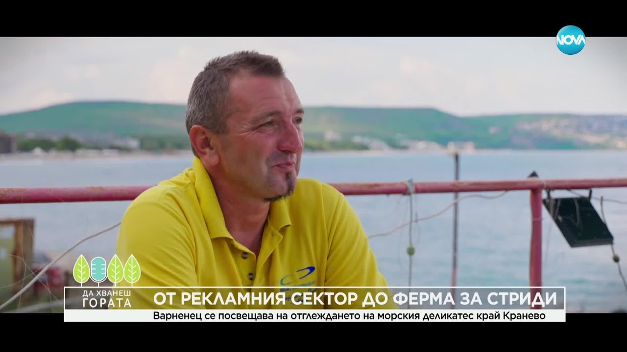 Да хванеш гората (08.09.2024)