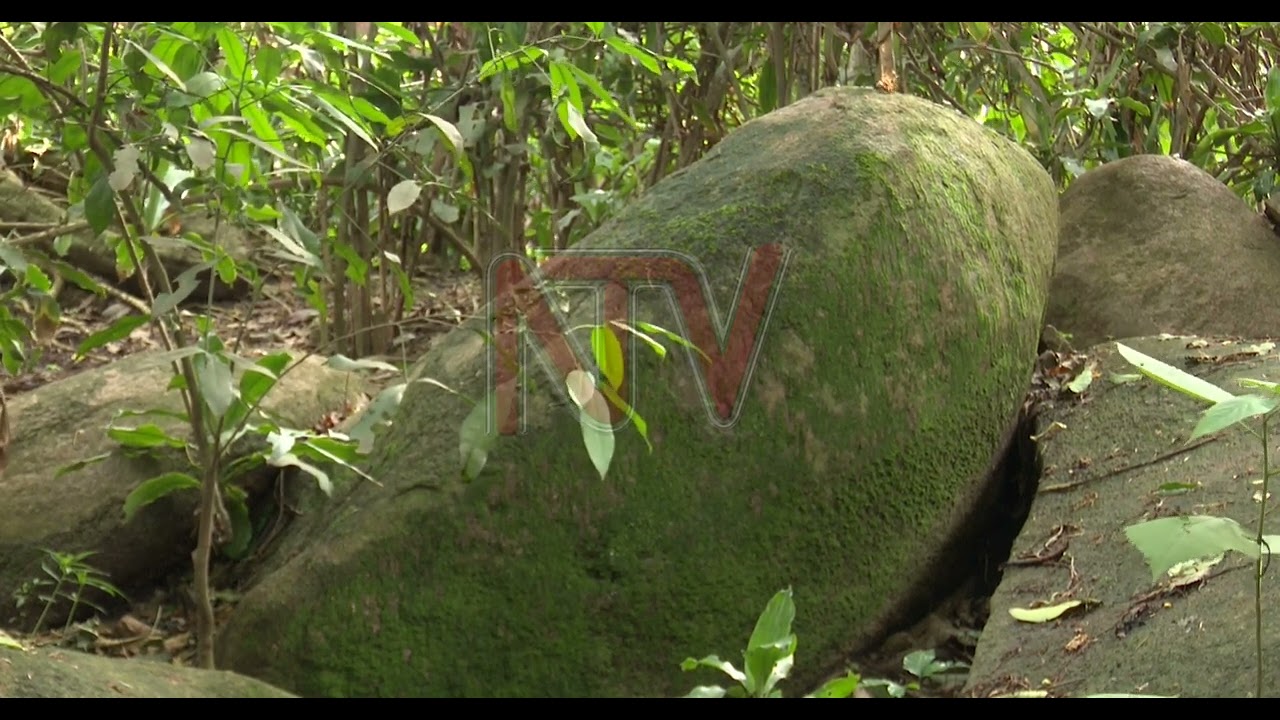 Nazzikuno :Tuzzizzaayo olutambi mu kiseera abajulizi mwe battirwa