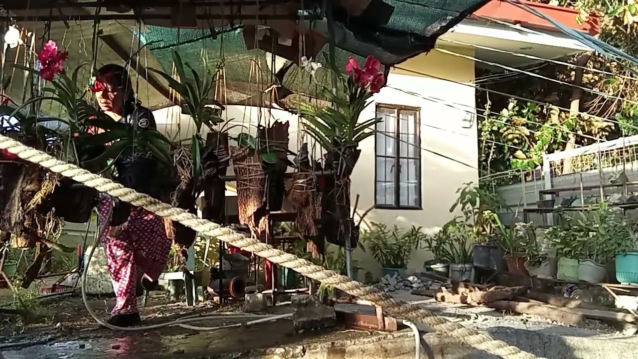 Mapagpalang umaga guys ♥️Tara diligan ko muna ang aking mga baby ❤️