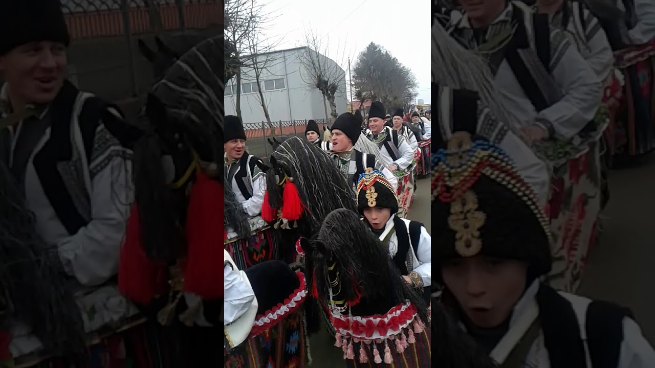 Caiutii din Culiceni la Romania 2019