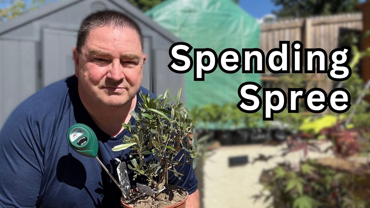 Bill's Bonsai Buys - May 2025 - What Have I Bought This Time | Moisture Meter and New Nursery Stock