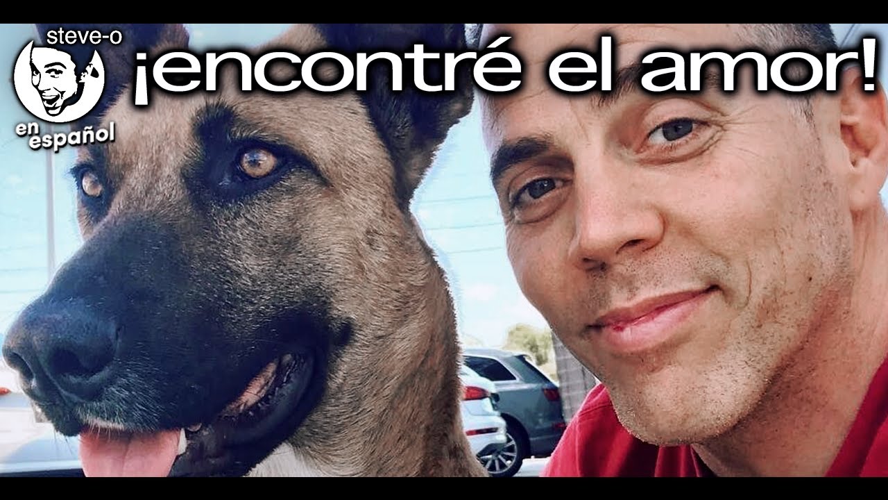 As&iacute; encontr&eacute; el Amor Verdadero | Mi Historia con Wendy | Steve-O en espa&ntilde;ol