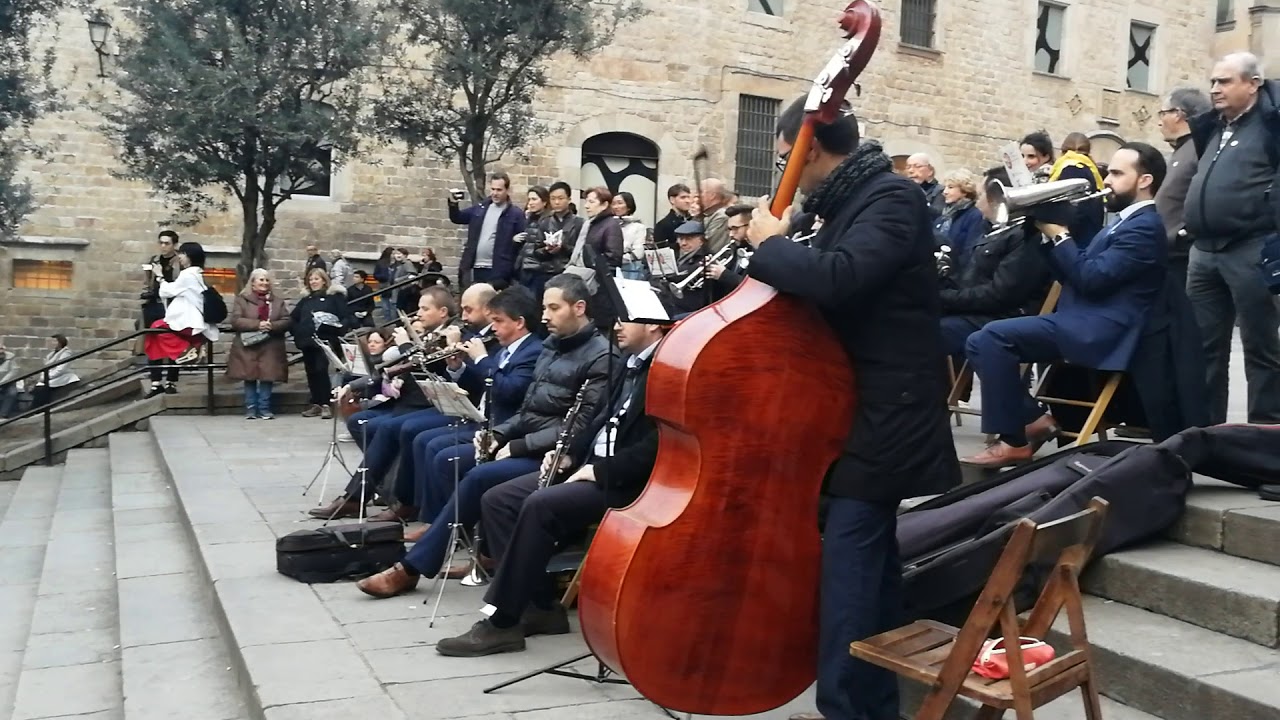 Sardanas en la plaza de la Catedral Barcelona HD