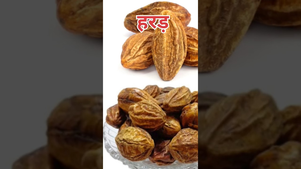 Facts About Harad | 