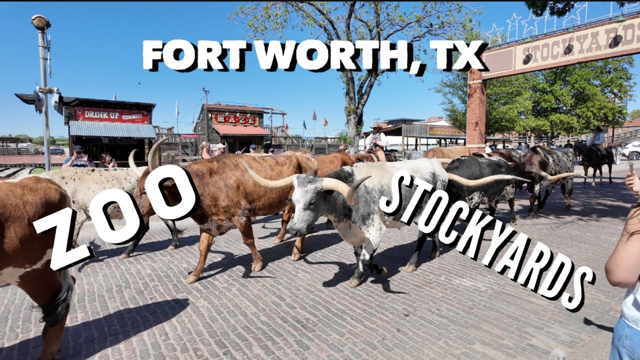 FORT WORTH ZOO AND STOCKYARDS WERE AMAZING!