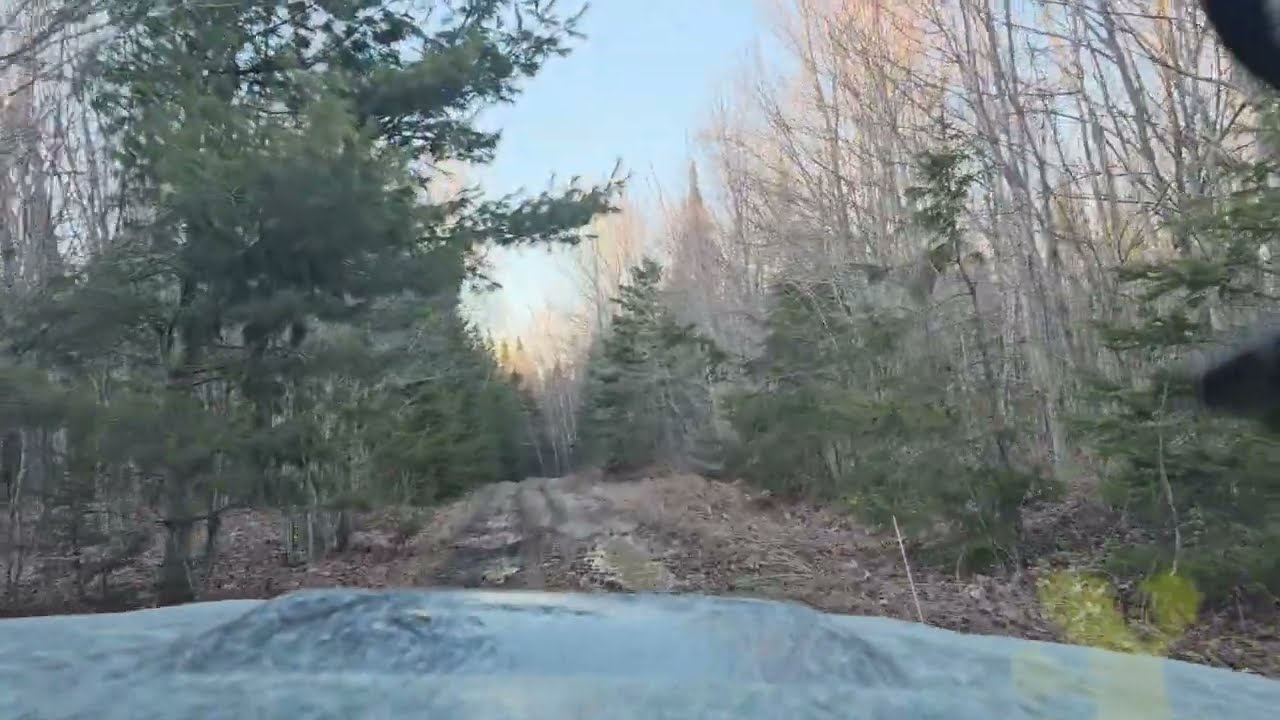 A Long Drive With post10 Trying To Spot Moose