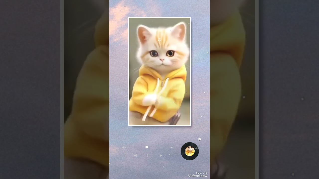 Dancing cat with different clothes on performance #dametucosita #musica #music #dance #reggaeton