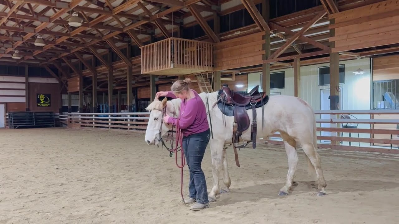Spanish Mustang Mare, Copperhead's Penny