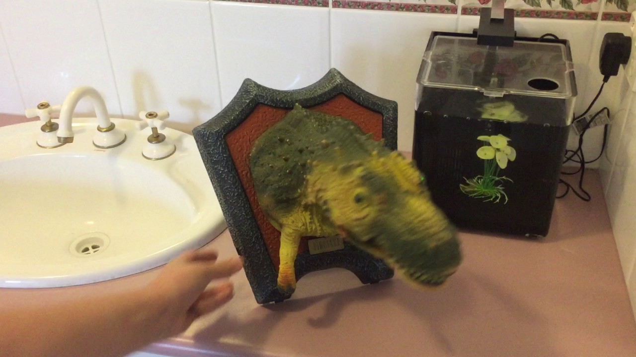 Singing Dinosaur Head (RARE!!)