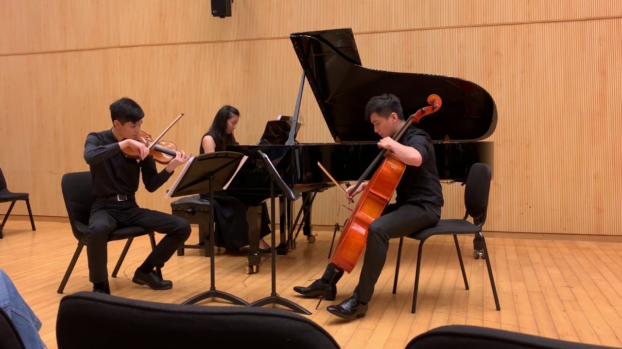Mendelssohn Piano trio No.2 in C minor, Op.66, I. Allegro energico e con fuoco