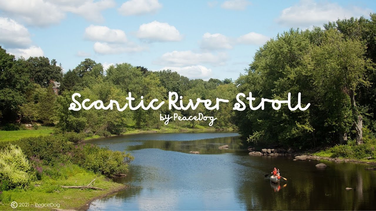 Scantic River Stroll (Instrumental) - Official Music Video