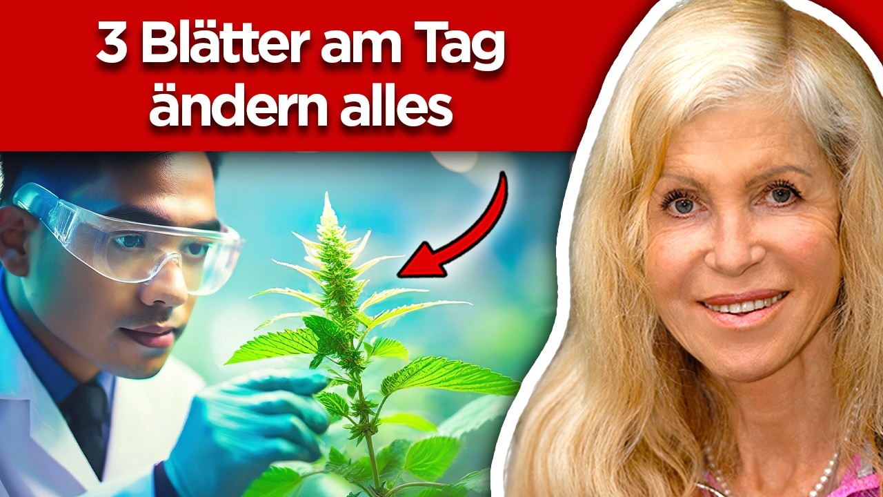 Brennnessel: Die m&auml;chtigste Heilpflanze? (DAS wei&szlig; niemand)