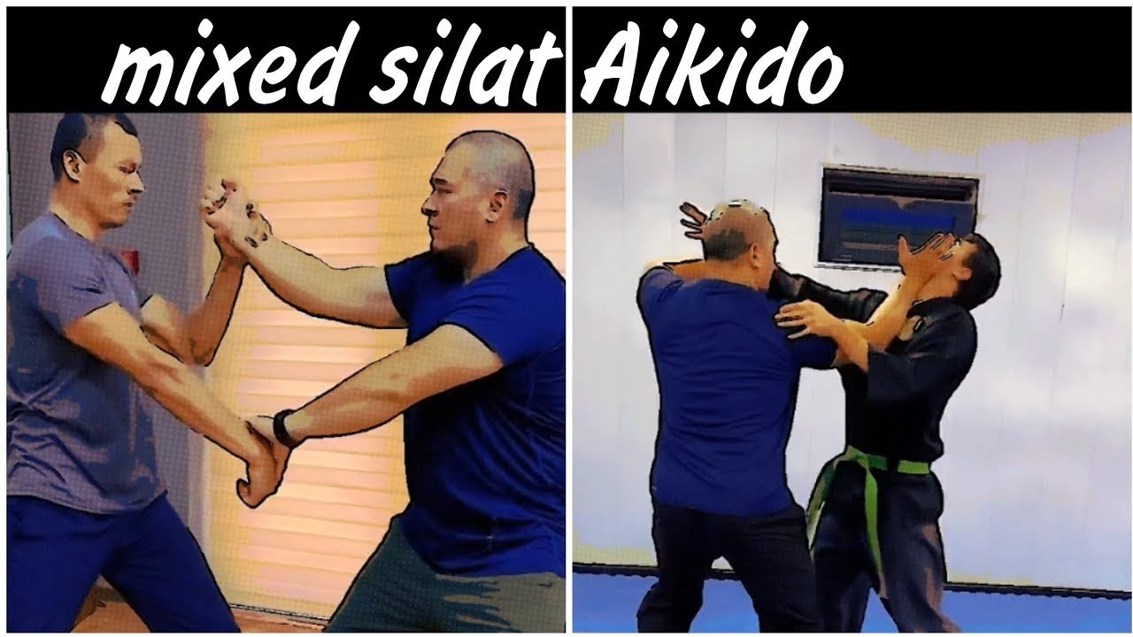 Mixed Silat And Aikido Self Defense Techniques
