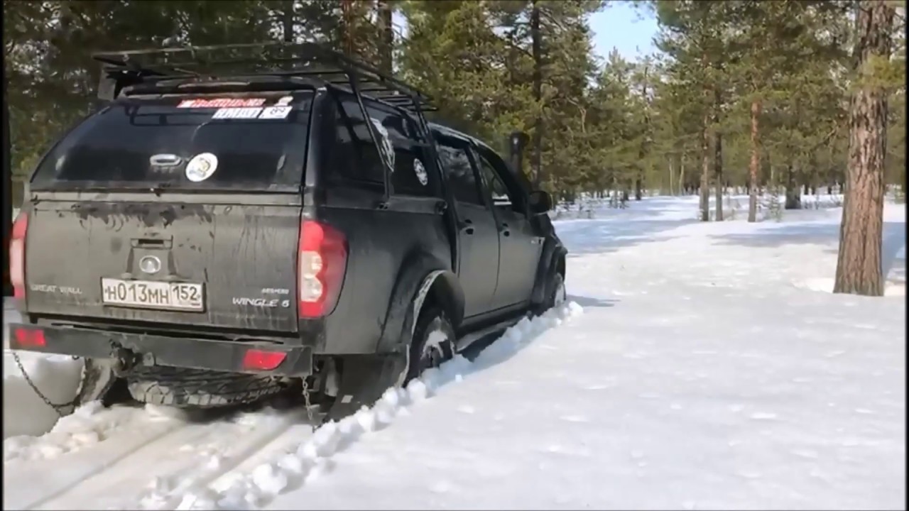 паджерик и вингл