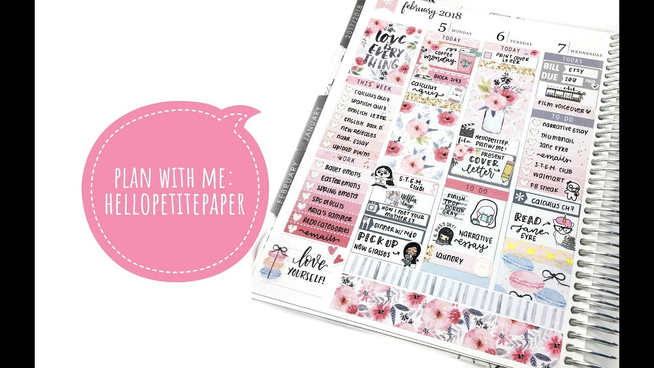 plan with me: ft. hellopetite paper (erin condren)