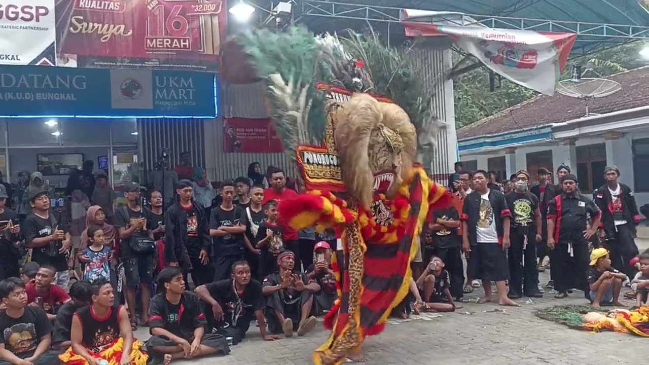 Reog ponorogo kesenian khas ponorogo