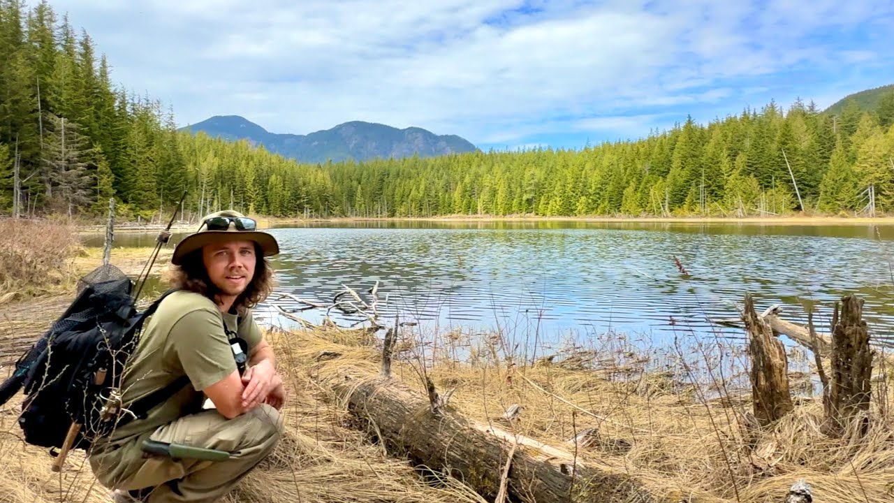 Small Mountain Lake With Hungry Mountain Trout!