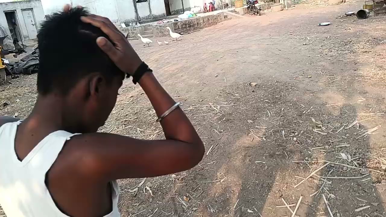 आज बोकडाचा पाय मोडला | आणि आवळीजवळी दोन बाळ बघा कोणती आहेत ते बघा | 🦙🐐🦢🦢# minivlog #vlog #video 