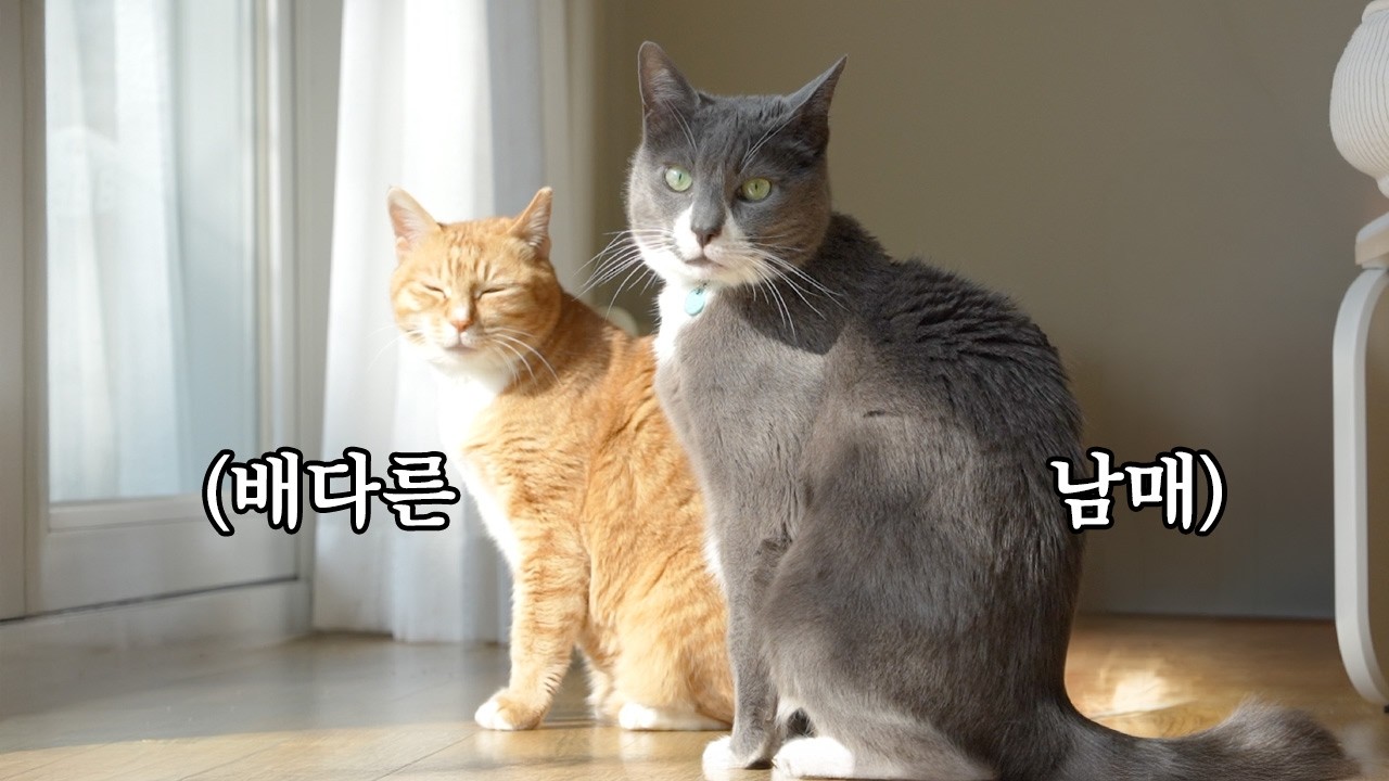 엄마도 다른 애들이 왜 이렇게 닮았어?