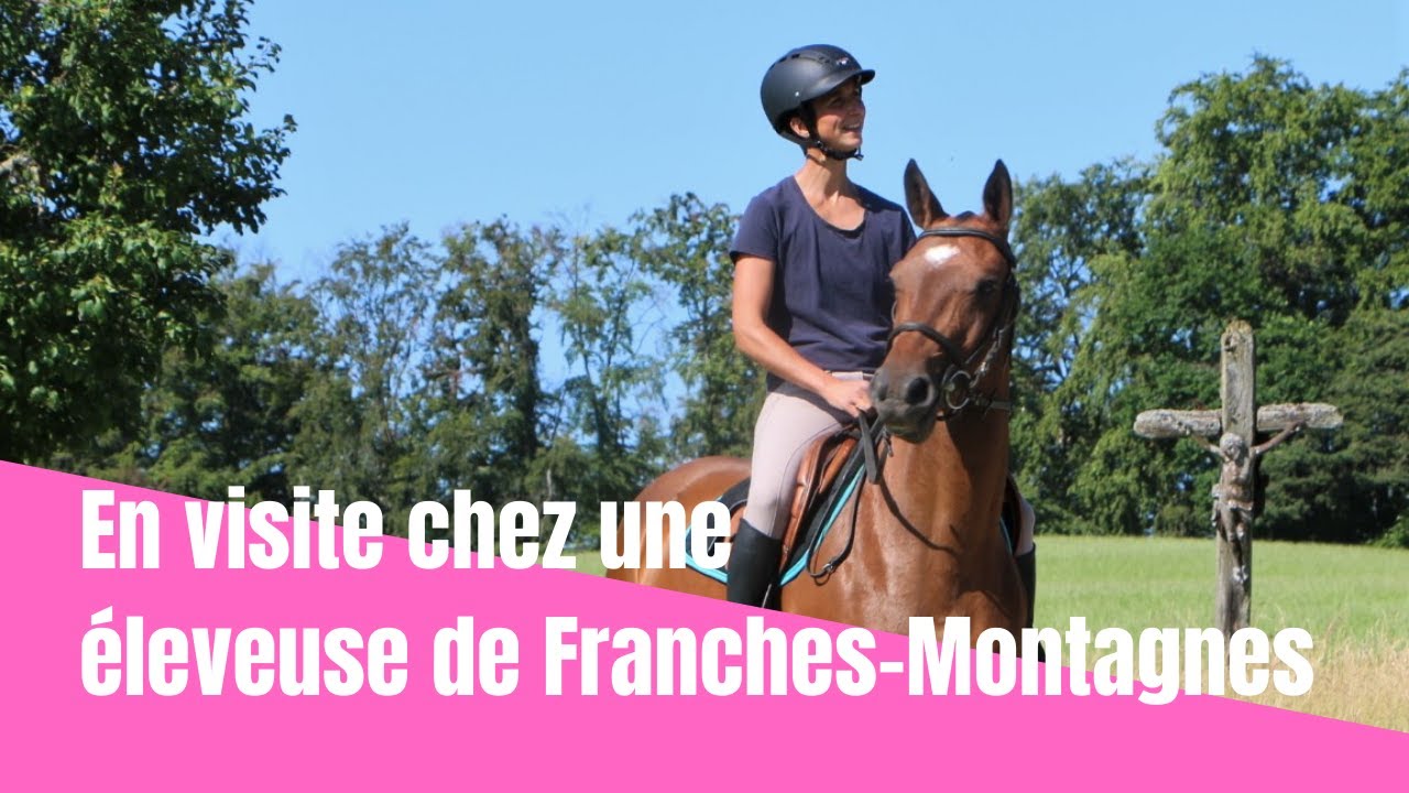 En visite chez une éleveuse de Franches-Montagnes