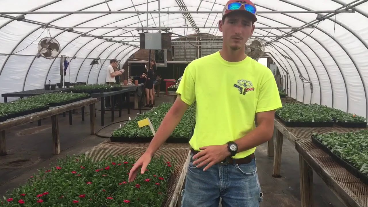 UGA Horticulture Club Fall Plant Sale 2017