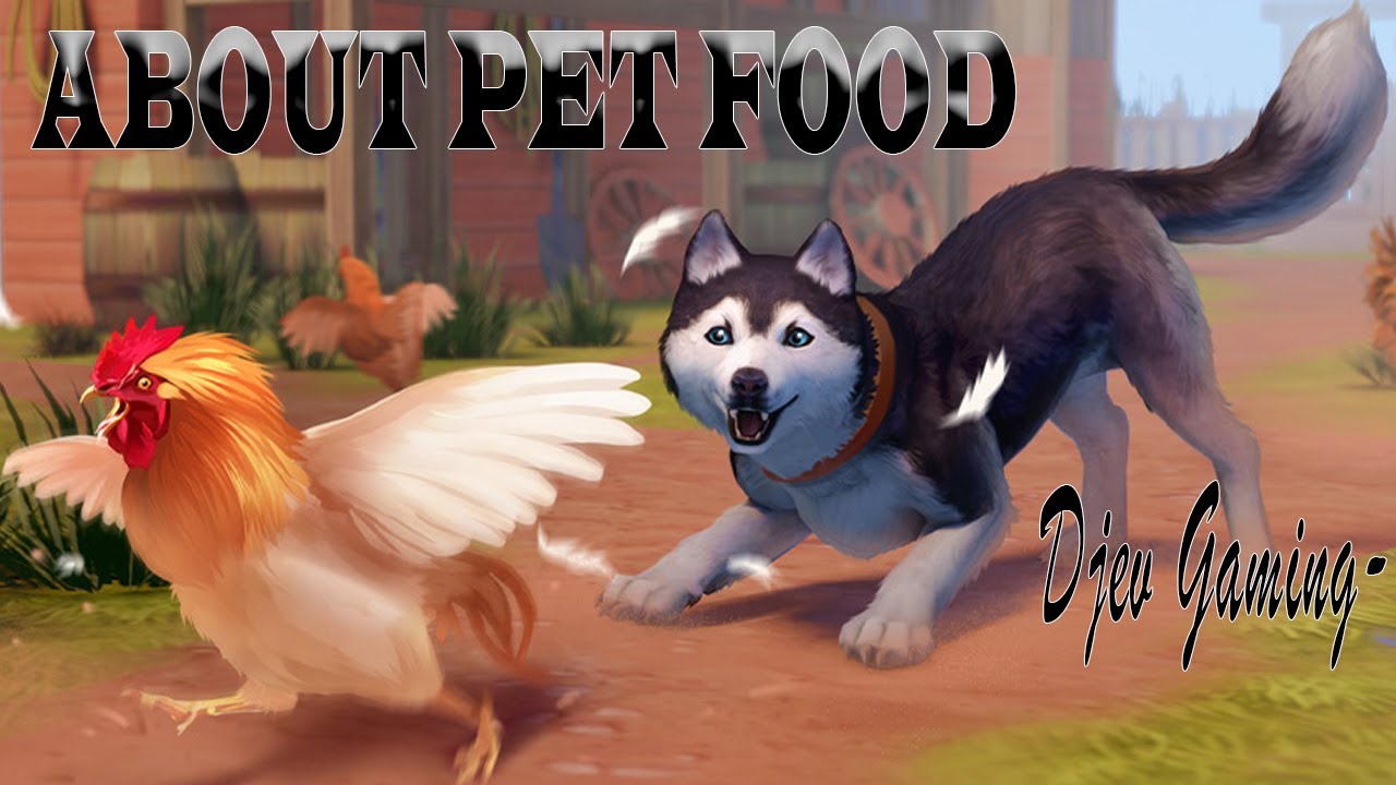 ABOUT PET FOOD | TIPS PELIHARAAN - WESTLAND SURVIVAL