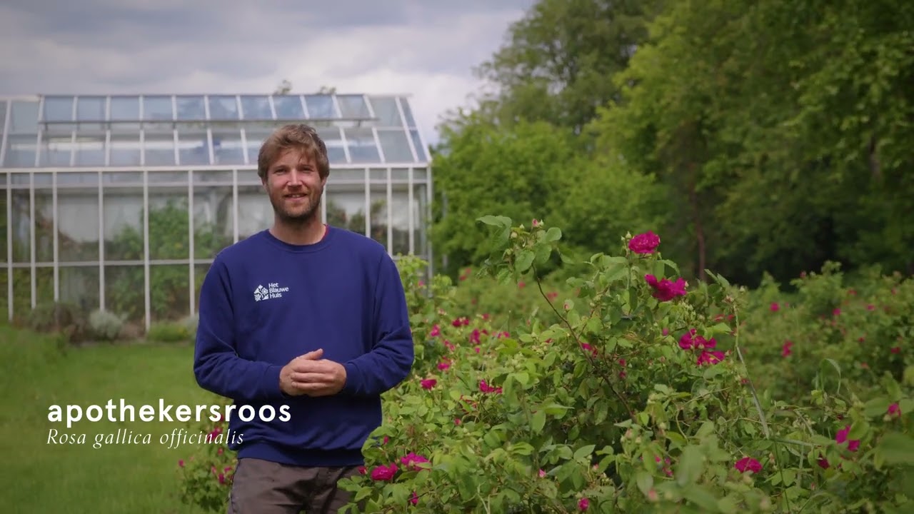 Welkom bij Het Blauwe Huis - Kruiden die het leven verrijken