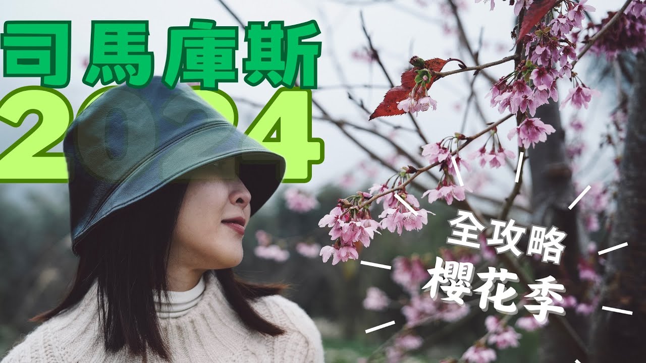 『超夢幻』2024司馬庫斯櫻花季、神木群全攻略｜苗栗舊山線鐵道自行車｜新年走春3日遊｜彰化市阿璋肉圓