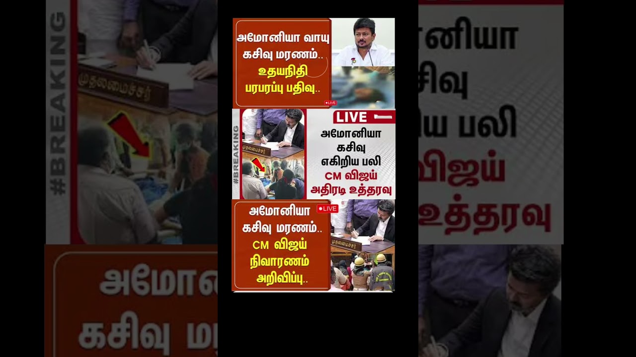 TVK thalapathy vijay love #tvk #dmk #tamil #congress #bjp