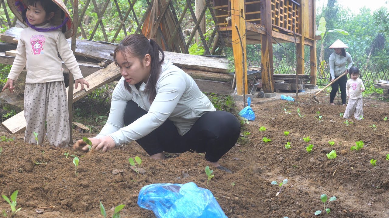 A Peaceful Day Of Single Mom : Tilling Soil & Planting Seeds for My Log Cabin Garden