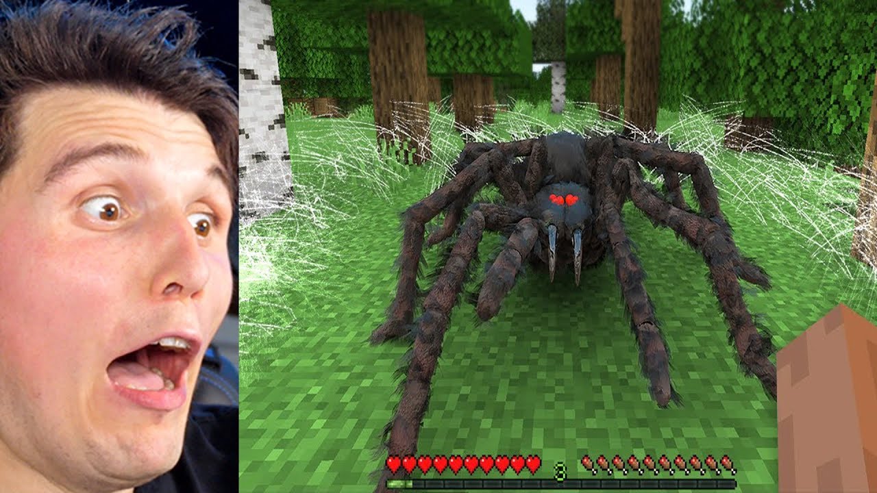 Paluten REAGIERT auf ULTRA REALISTISCHE SPINNE (Minecraft Memes)