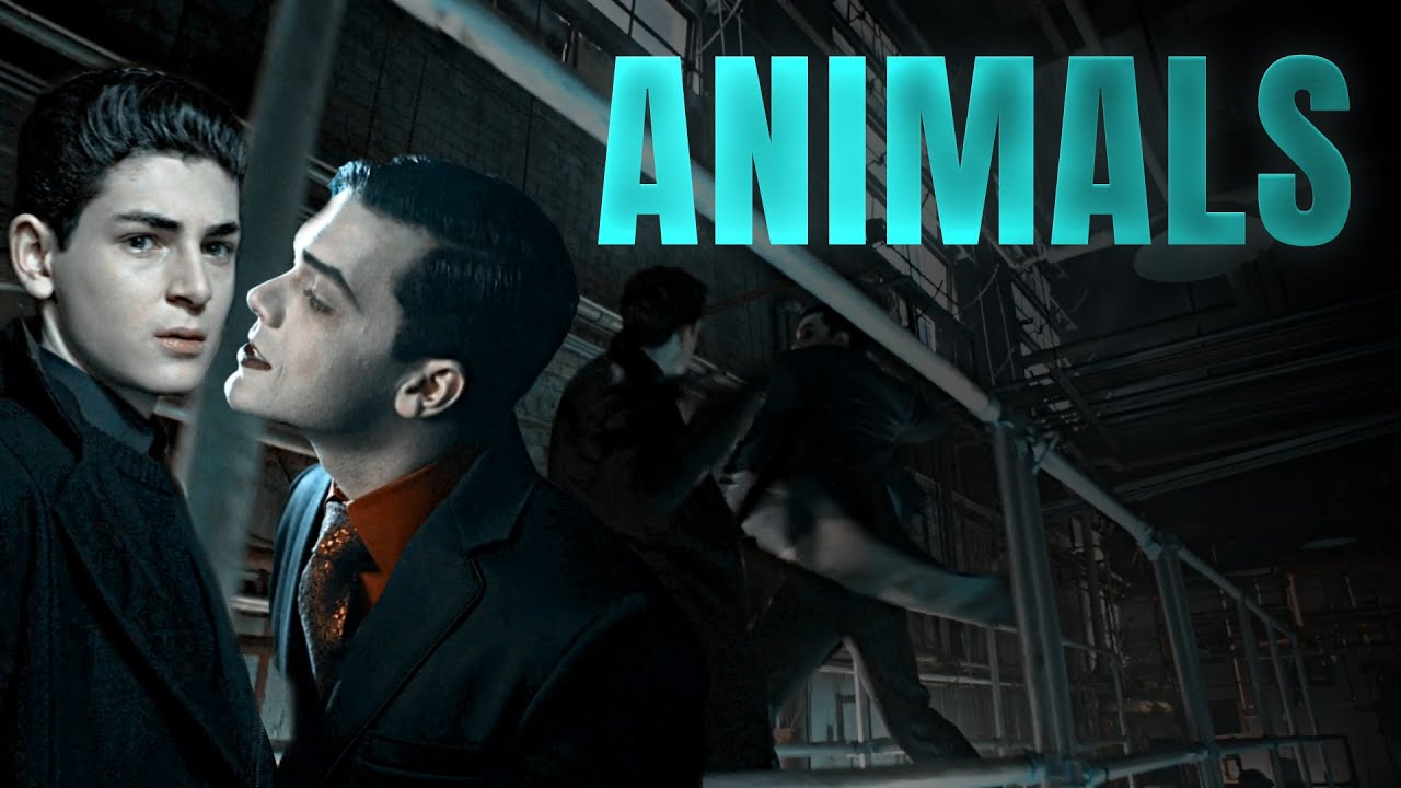 animals ll jeremiah x bruce [Gotham]