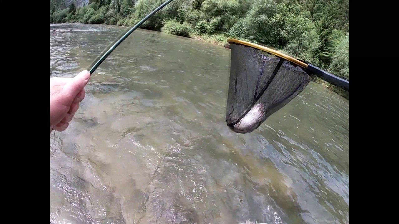 Fly Fishing Slovakia : Orava River, 8th July 2020