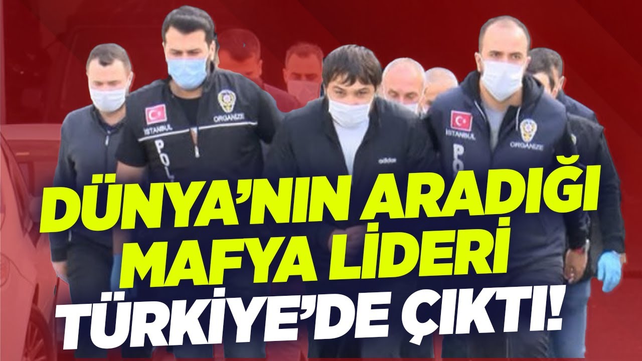 Uluslararası Suç Örgütleri Türkiye'de Cirit Atıyor! | KRT Haber