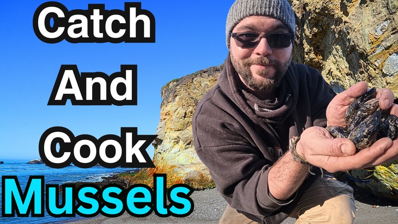 California's Wild Mussels: Catching and Cooking