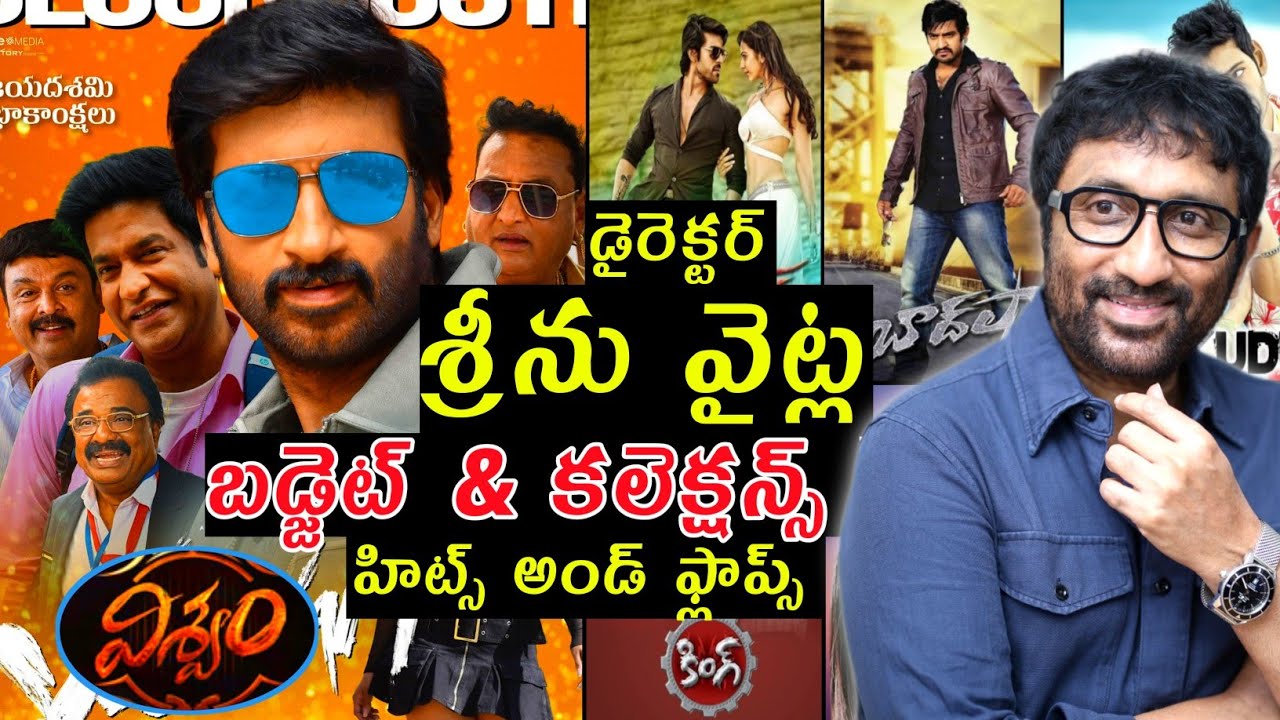 Director Srinu vaitla budget and collections all movies Hits and flops upto vishwam movie