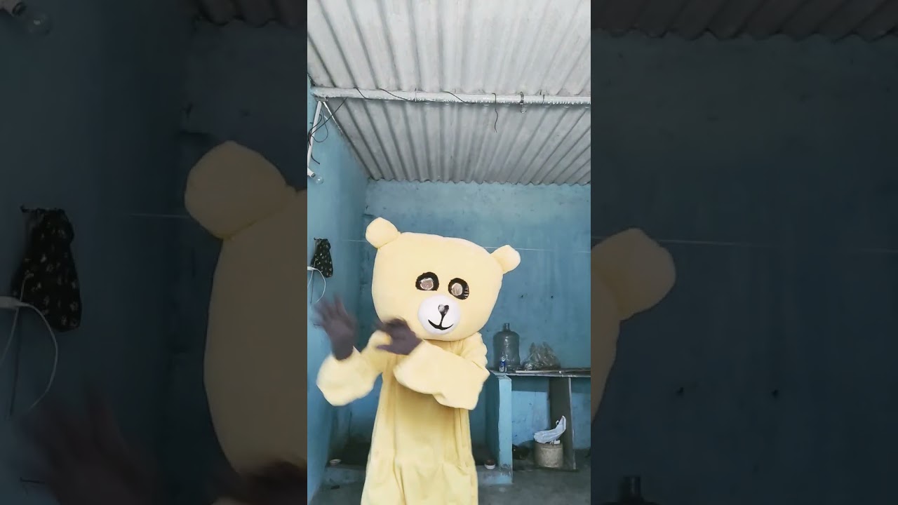 22 March 2024teddy bear dance hello teddy 111
