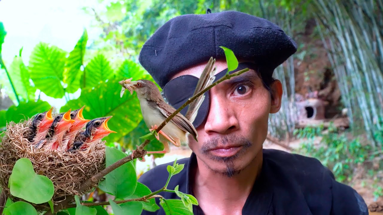 Hunting Bird Nests | How to Hunt Baby Bird Nests in the Rainforest | Mutant Life