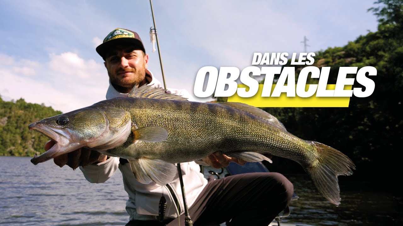 Sandres estivaux : Cherchez les dans les obstacles ! (Test du Dark Sleeper 4.5'')