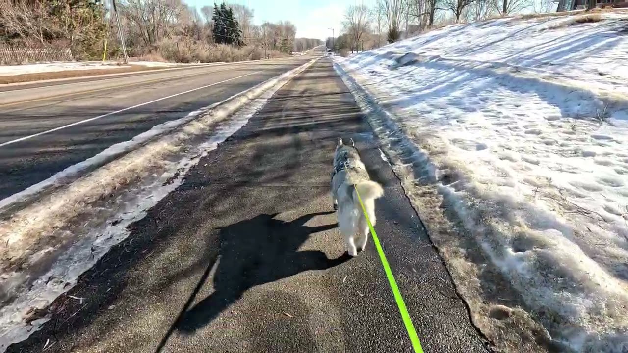 16 Walking with Hailey
