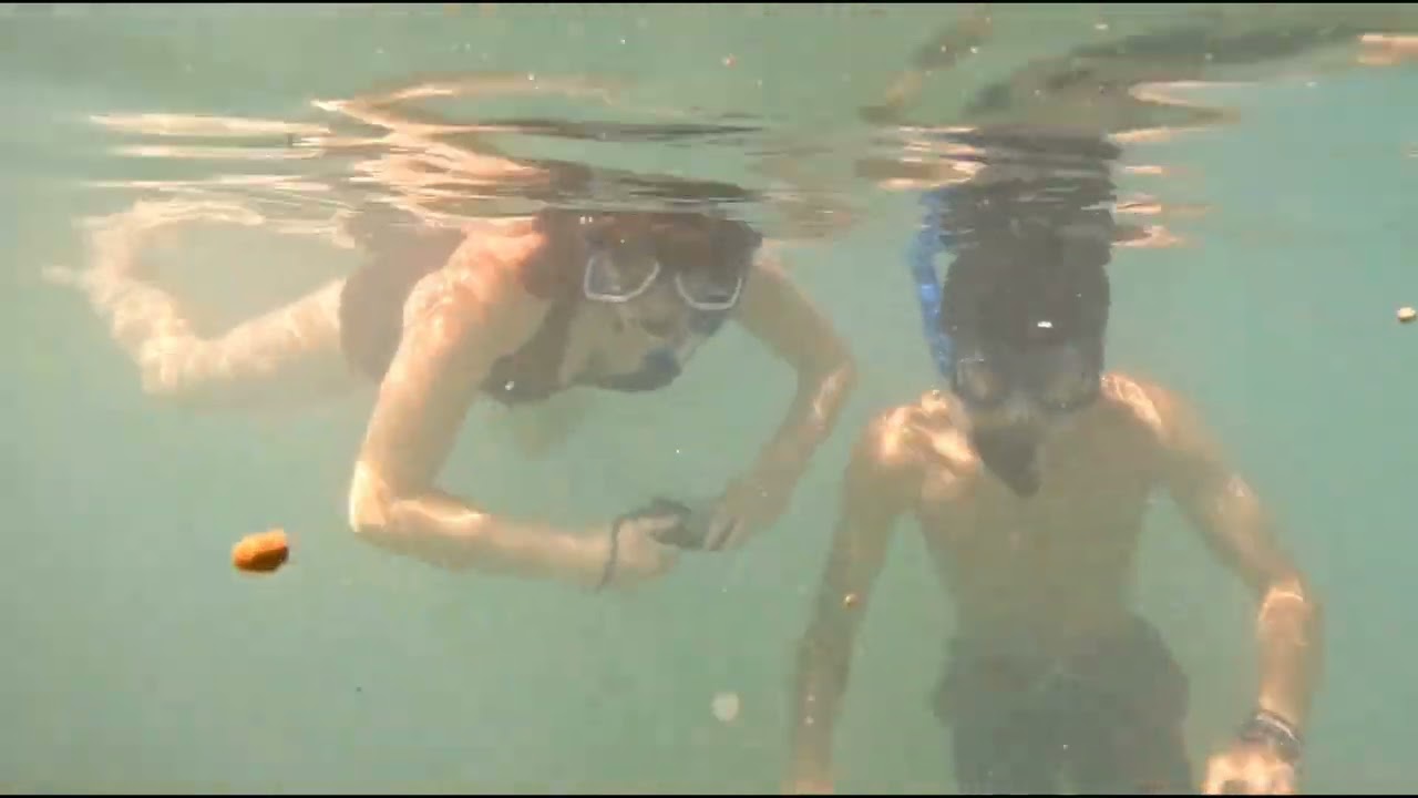 Waikiki Snorkeling Tour. Come Join!