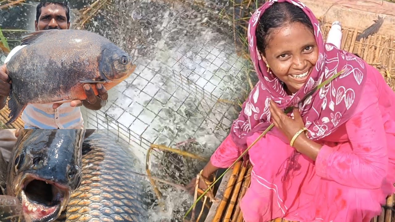🐠🎣చాలా రోజుల తర్వాత మళ్లీ మన బొన్లుకు పెద్ద చేపలు పడ్డాయండోయ్. | Big Fish's Fishing video..