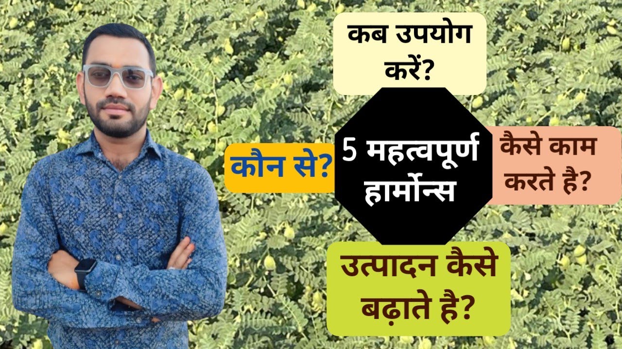 क्या आप जानते है? ये 5 हॉर्मोन्स फसलों के लिए क्यों अनिवार्य और महत्वपूर्ण है @Krishimantra-Kp09