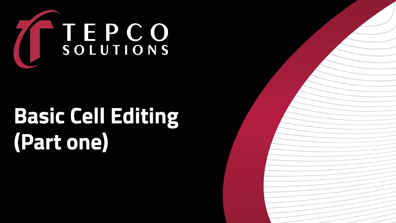 P6 Report Editor Tutorial - Part 1 - Basic Cell Editing