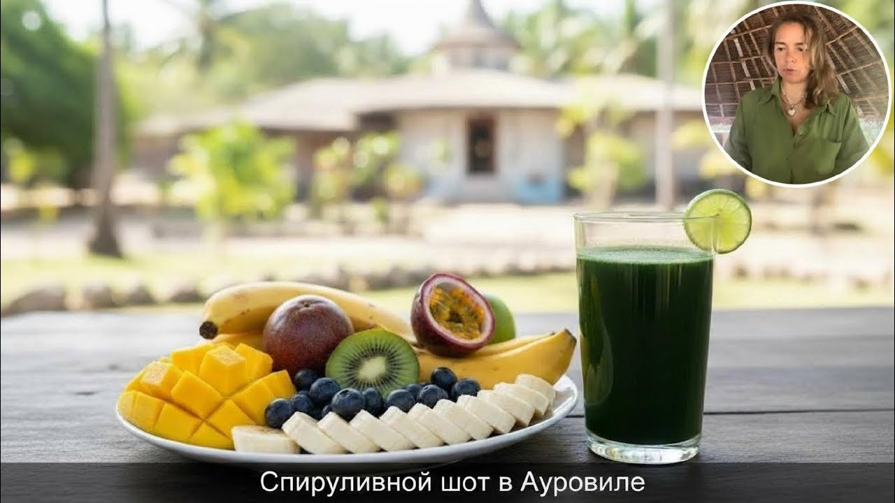 Шот из Спирулина от Бажан Александры в Ауровиле 