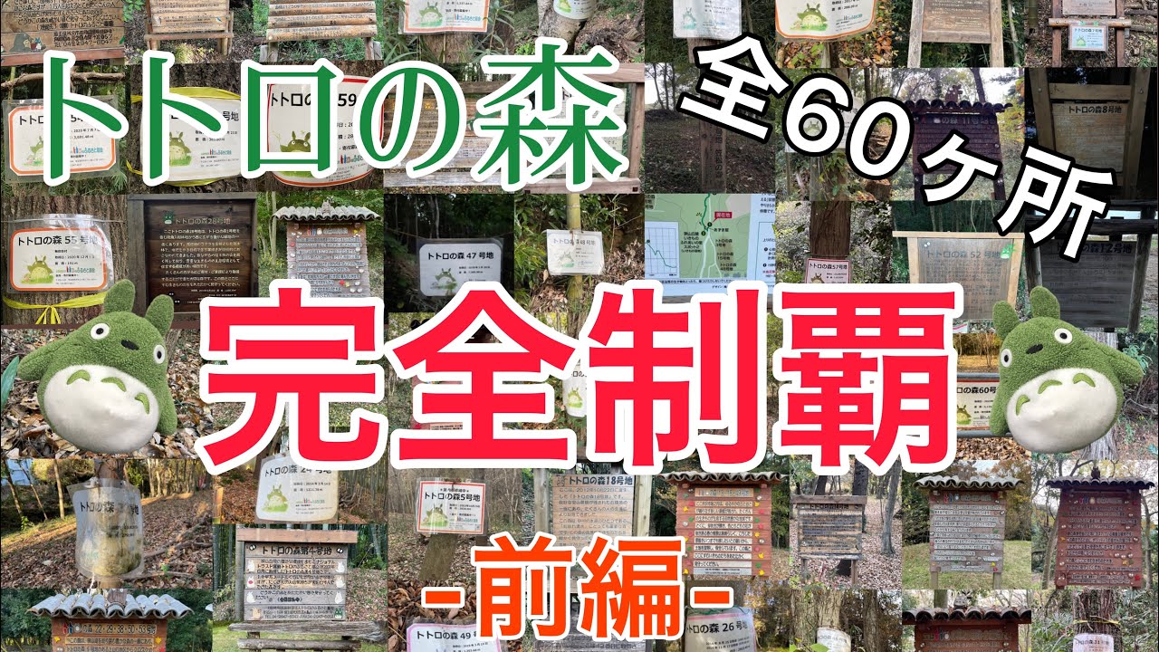 【となりのトトロ】トトロの森　完全制覇　-前編-