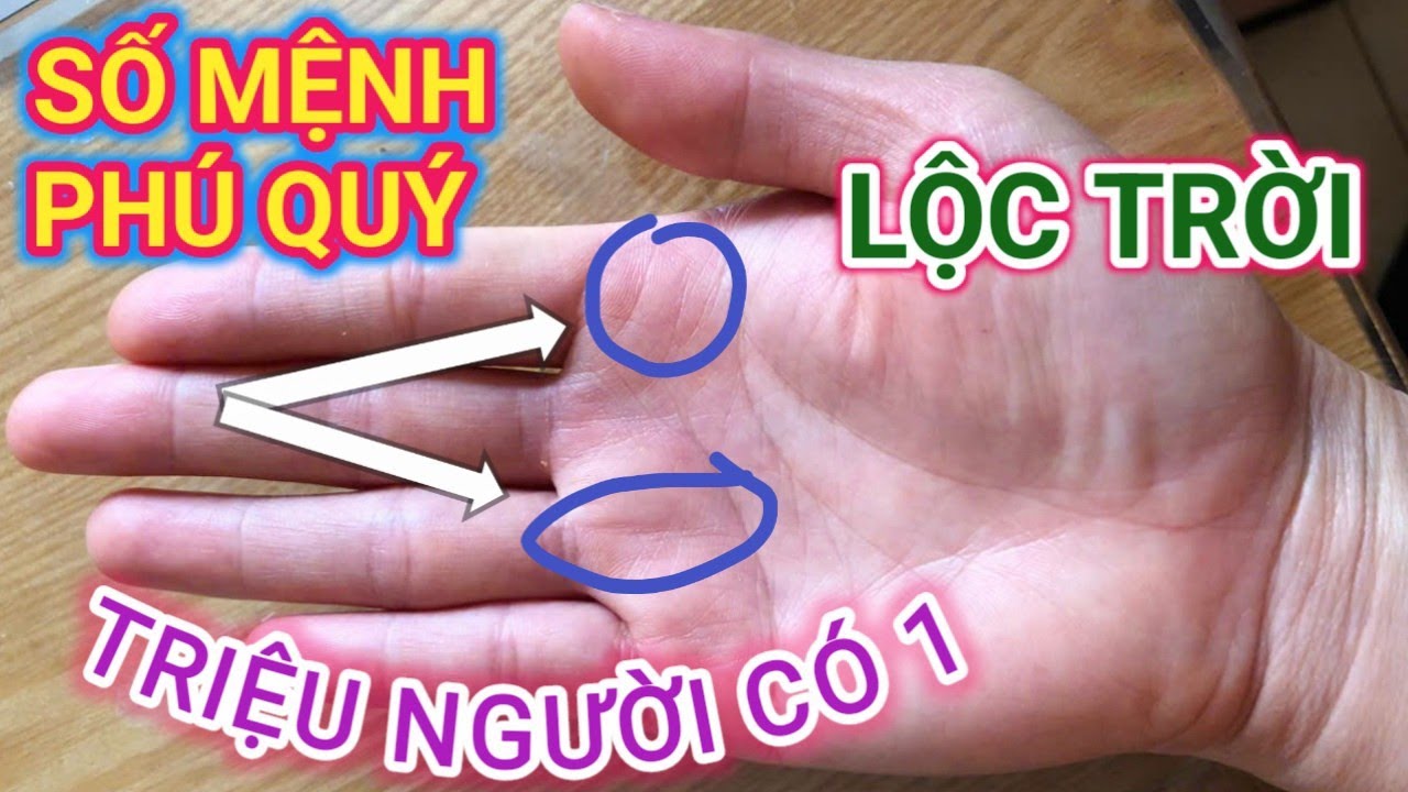 SỐ MỆNH PHÚ QUÝ- TRIỆU NGƯỜI CÓ 1 Khi Có Chỉ Tay Này/ Cậu Thành Tử Vi (0916.188.251)