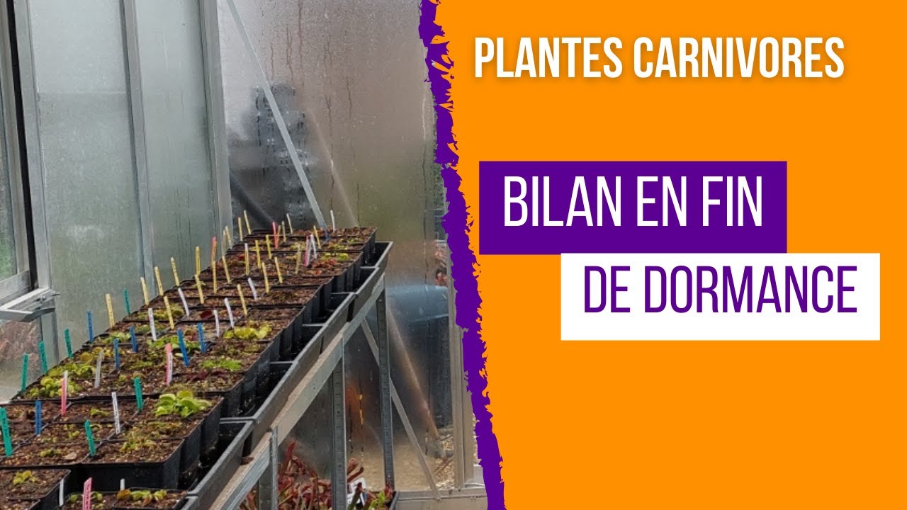 Visite 