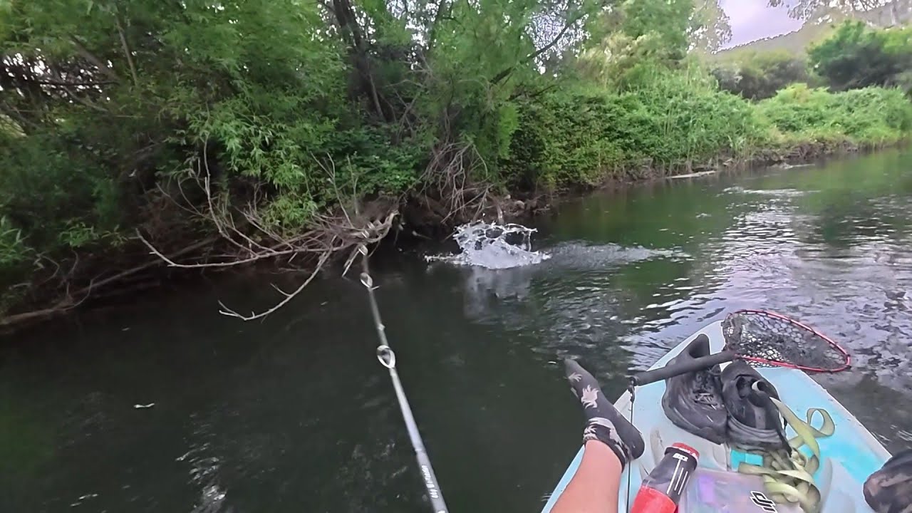 A SUPER Rare Catch While Cod Fishing?!?